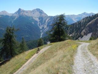 in veloce discesa verso il Poggio Tre Croci