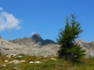 Il Frisson dalla dorsale SW
