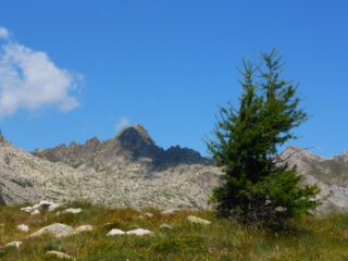 Il Frisson dalla dorsale SW