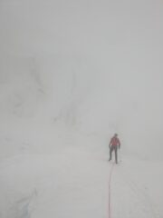 Avvicinamento dalla marco e rosa