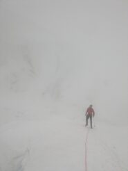 Avvicinamento dalla marco e rosa