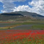 la splendida Castelluccio di Norcia