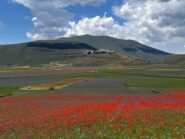 la splendida Castelluccio di Norcia