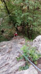 oplus_32