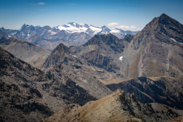 visto da una note fleurie (alumni), lo Grand Paradis
