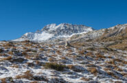 Sopra le Grange di Sopra, la Torre