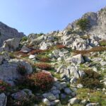 Il Vallone dopo il Lago di Valcuca 