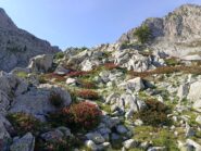 Il Vallone dopo il Lago di Valcuca 