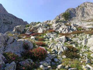 Il Vallone dopo il Lago di Valcuca 