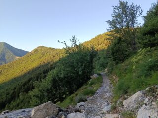 Verso la Colla di Carnino 