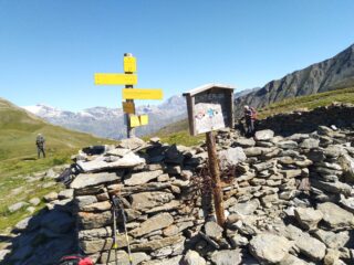 Al Col de Sollieres