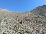 Direzione Colle di Malacosta per il Vallone Baiso del Colle 
