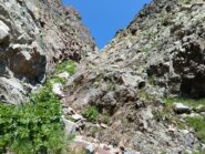 Parte centrale 