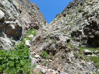 Parte centrale 