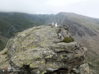 In cima.