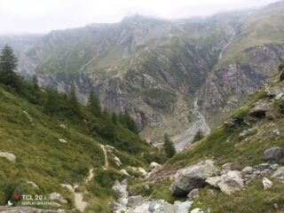 Il valloncello che porta all'Alpe Ciamarella.