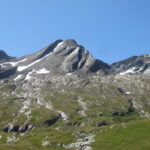 Testa della Nouva