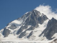 Chardonnet