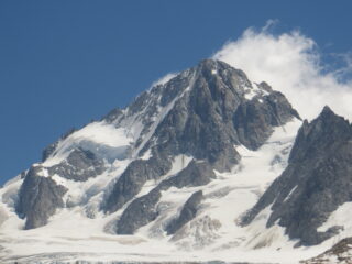 Chardonnet