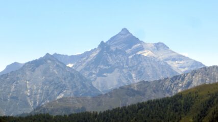 Grivola