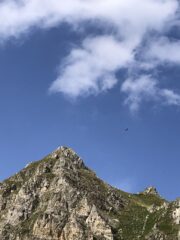 Il vicino del piano di sopra