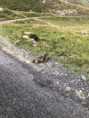 Il vicino del seminterrato 