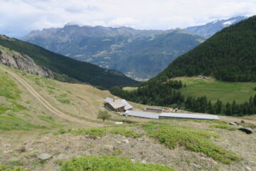 l'alpeggio di Morgnoz