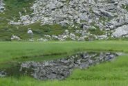 Riflessi nell'acqua