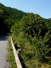 Salita alle Capanne di Marcarolo 