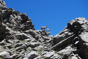L’unico incontro da Vieyes a Epinel