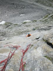 Ambra sulla placca di L9