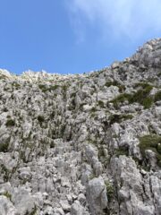 Il tratto finale che porta alla cresta
